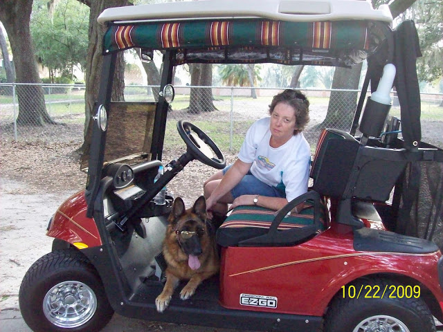Golf cart dog harness clearance