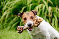 istockphoto-874857174-612x612-jpg