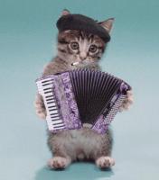 kittyw~14-jpg