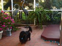 moses-courtyard-jpg