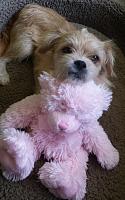 2014-08-07-12-18-57-jpg