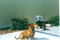 manny-suzy-jpg