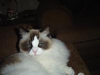 dsc07208-jpg