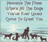 dogs-heaven-jpg