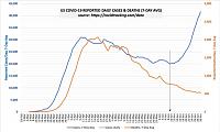 cases-vs-deaths-usa-jpg