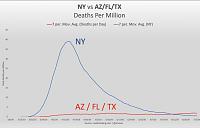 ny-vs-fl-tx-az-jpg