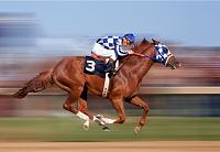 secretariat-2-jpg