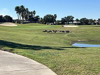 img_6260-jpg