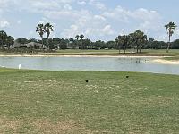 img_7417-jpg