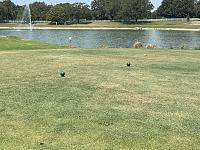 img_7508-jpg
