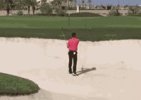 img_20250831_055440-gif