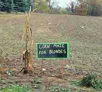 cornmaze-jpg