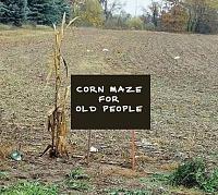 cornmaze-jpg