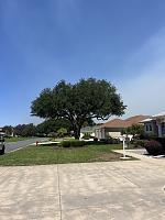 img_1841-jpg