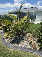 img_9971-jpg
