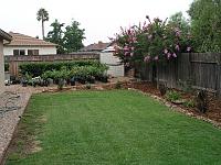 backyard-patio-jpg