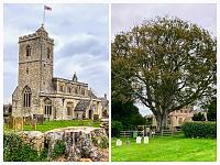 img_2055-edit-collage-jpg