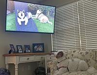 dunkin-tv-jpg