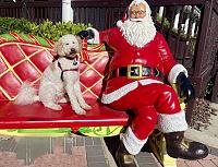 dunkin-santa-jpg