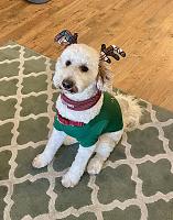 dunkin-christmas-jpg