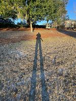 ron-frost-shadow-jpg