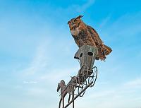 owl-lake-sumter-trolley-barn-jpg