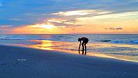 sunset-beach-shells-picking-up-jpg