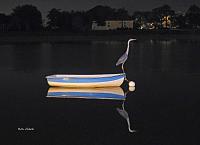 blue-heron-boat-jpg