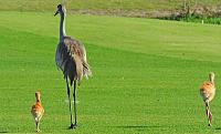 043_edited-1-copy-jpg