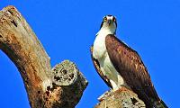114_edited-1-copy-jpg