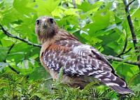 066_edited-1-jpg