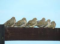 057_edited-1-jpg