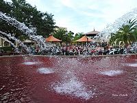 spanish-springs-signed-copy-jpg