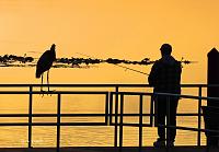 silhouette-signed-copy-jpg