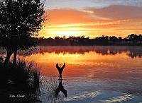 blue-heron-sunrise-signed-jpg