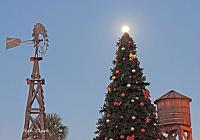 xmas-tree-brownwood-signed-copy-jpg