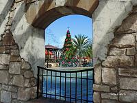 xmas-tree-spanish-springs-signed-copy-jpg