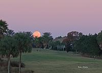 moon-4-signed-copy-jpg