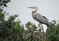 mom-3-babies-orig-copy-jpg