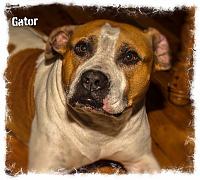 cdefb4be-eed9-47c9-9d16-46309a11a160-jpg