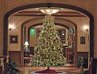 xmas-tree-sales-center-2-copy-jpg