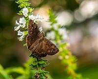 60c876d6-4ec9-4ec6-a8dc-b155679041d2-jpg