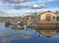 reflection-1-jpg