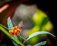 607cb7d3-ecad-4718-b841-b73a6997a46f-jpg