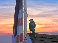 1-sky-save-copy-jpg