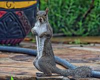 cf6b2db5-0429-463f-86e6-82a6b75ccdf7-jpg