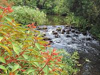 waterfall-1-signed-jpg