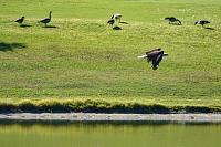 dsc04338-800-jpg