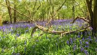 img_1229-jpg