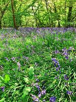 img_1849-jpg